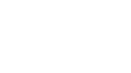logo village de gites lac saint georges